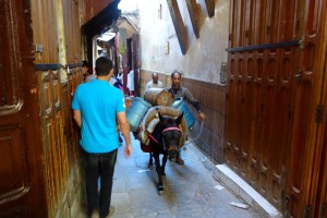Donkey transportation in the Medina. The Firm's next area of specialization!
