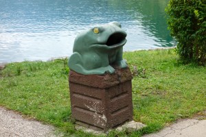 No wonder everything is spotless here , these frogs eat it all!