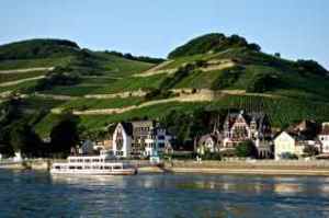 Rhine River Cruise