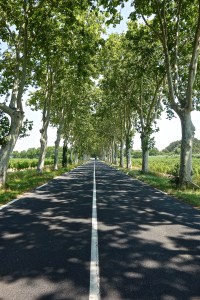Then, we will drive down a lot of roads that mirror this one to find our home in the  southwest of France.