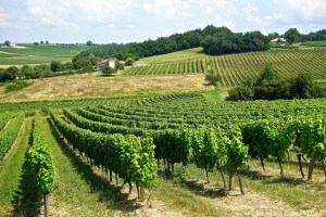 We'll have to stop by a few of these on our way and if we're lucky, we will have this view from our home for the next few months.