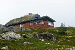 Notice the sheep on the right side? Must be their pet.