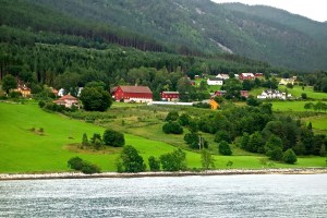 We loved the colors!