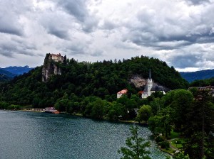 First picture after the rain on day of arrival.