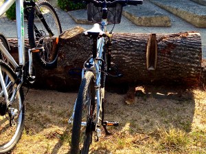 They make things out of anything they can use. We thought this was pretty creative.