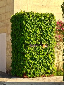 Seriously??? Can you see the "RECEPTION" sign?????? It's there!