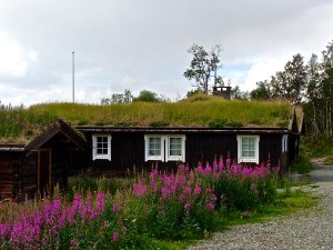 Saw many of these types of roofs along the way when crossing Norway from Oslo to Bergen.