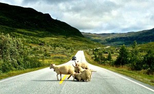 Guess the little guy was hungry!