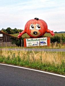 We see the strangest things again in the roundabouts.