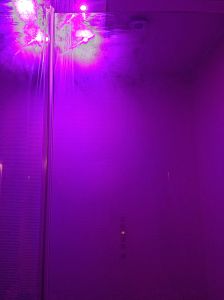 Really?? Hot Pink shower lights while showering??
