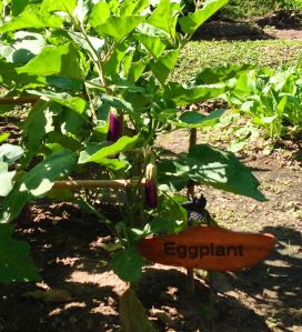 Our garden right across from our villa.