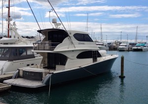 Notice this says "VENOM"??!!