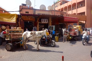 I was appalled when the driver turned down this street to our hotel the night before. This is daytime.... Walk out of our front door and this is what you see. Norm thought it was the best couple of asses he had seen in Morocco... 