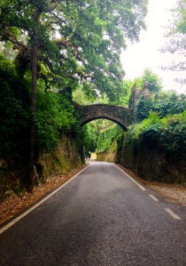 The road up to the Pena Palace. Very romantic 