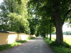 Road look familiar too?