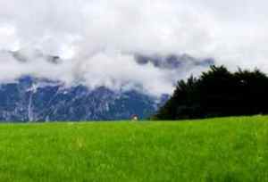 The hills are alive with the sound of music!!