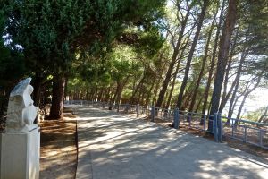 This path is what we walked along to get to the beach. Very nice shaded path all the way.