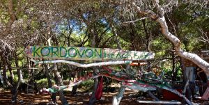 Here's our beach bar... anyone thirsty?