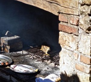 Our fresh catch of the day!