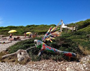 Our first stop on our boat day. This creature greeted us as we entered the beach area!