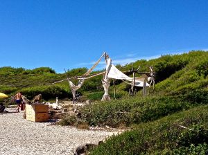 At first, we thought our captain dropped us off at Gilligan's Island... but we never saw the Skipper, Mary Anne, Ginger, Gilligan or Thurston Howell III!