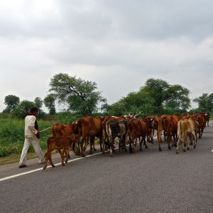 Again, just walking, just sayin!