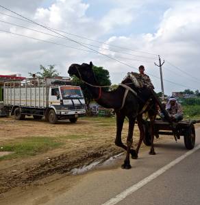 Now this guy was coming straight at us!