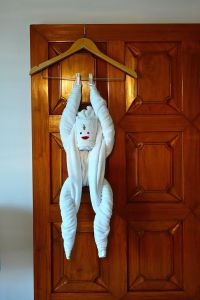 Crazy gift from the maid! They are always monkeying around!