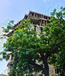 Can you believe they use bamboo for scaffolding and for support?