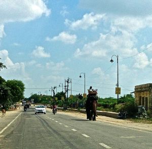 Oh, Yeah.. we have to dodge Elephants too!