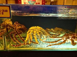 Different options for all appetites!