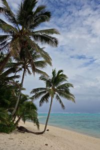 Even a cloudy day in paradise is better than working!! 