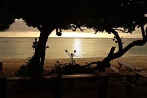 Sunset from the "Shipwreck" - supposed to be one of the top 50 beach bars in the world! This is in front of where the cat was sleeping!