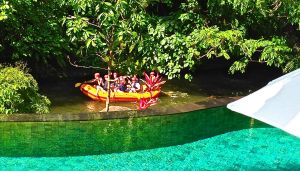 Rita got these kids to wave at us while rafting by us!