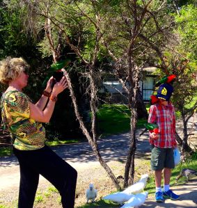 As mom is taking her sons picture, a bird decided to land on her ipad!