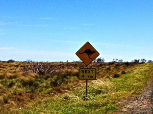 Lots of these signs along the road.