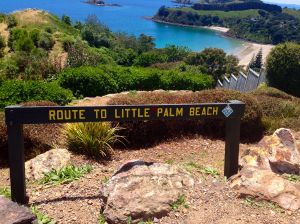 No explanation needed.