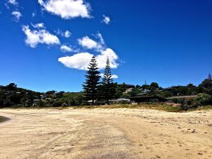 Oneroa Bay Beach, great family beach with a park, swings, great area for kids.