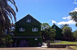 Stoney Ridge Vineyard