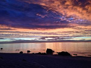 Just magical how the colors change.