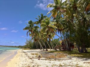 Wonder if the outrigger comes with the beach house. 
