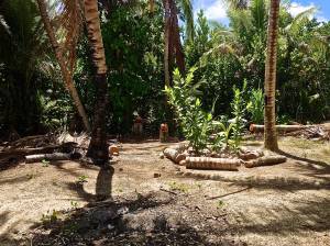 Survivor Island leftovers. 