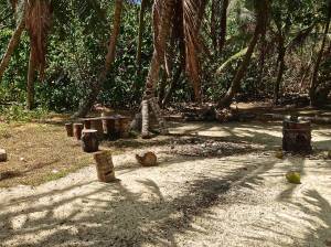 I'm sure the tribal council meeting was held here.