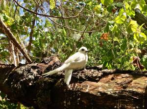 These guys love our visits.