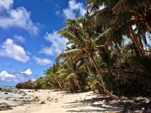 We walked across the entire survivor island (through a walking path filled with mozzzies) and this is at the other end.