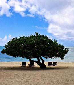 They sell postcards just like this at the front office of our hotel. Humm, could be a new business venture for us!