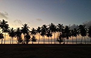 This is what lines the football field a/k/a soccer field in Aitutaki.
