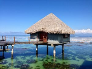 Well, it started out great, as we got upgraded to this! and only b/c the hotel was sold out!