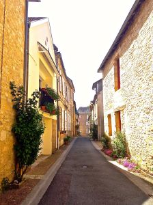 Just a little street we walked by in Montignac. 