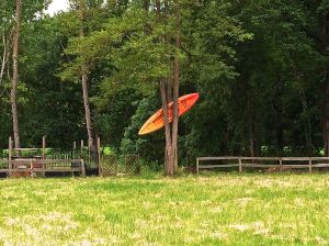 Rita and I tried canoeing one day. It did not end well!